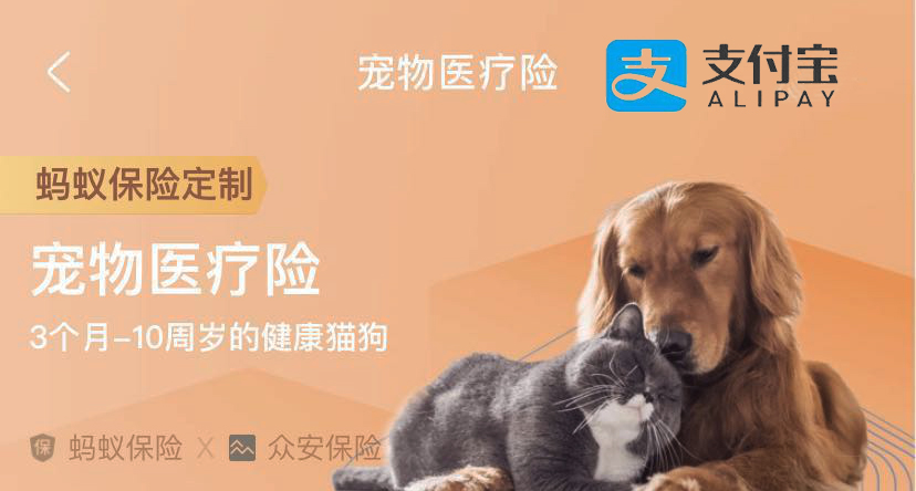 支付宝开放宠物鼻纹识别技术应用于保险和城市