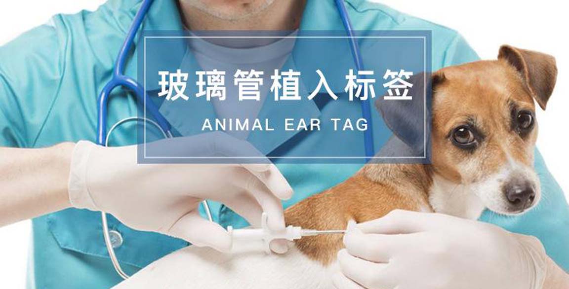 10万吨猫砂工厂项目投资商业计划书和市场分析