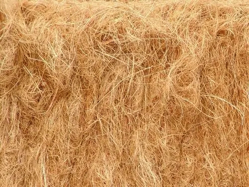 全球各地什么材料可以用来做植物猫砂