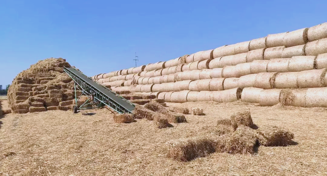 秸秆转化的降解产品有哪些